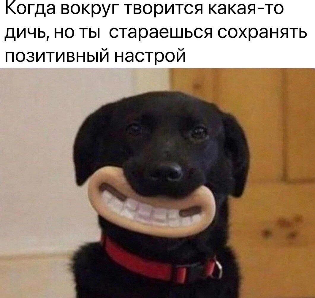 Когда вокруг творится какаято дичь но ты стараешься сохранять позитивный настрой