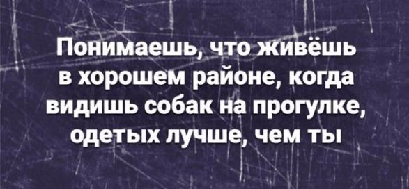 _ __ 5 _ поБіИМаешцнтожй ёшь в хорошем районе когда видишь собак на прогулке одетых лучше чем ты _ у