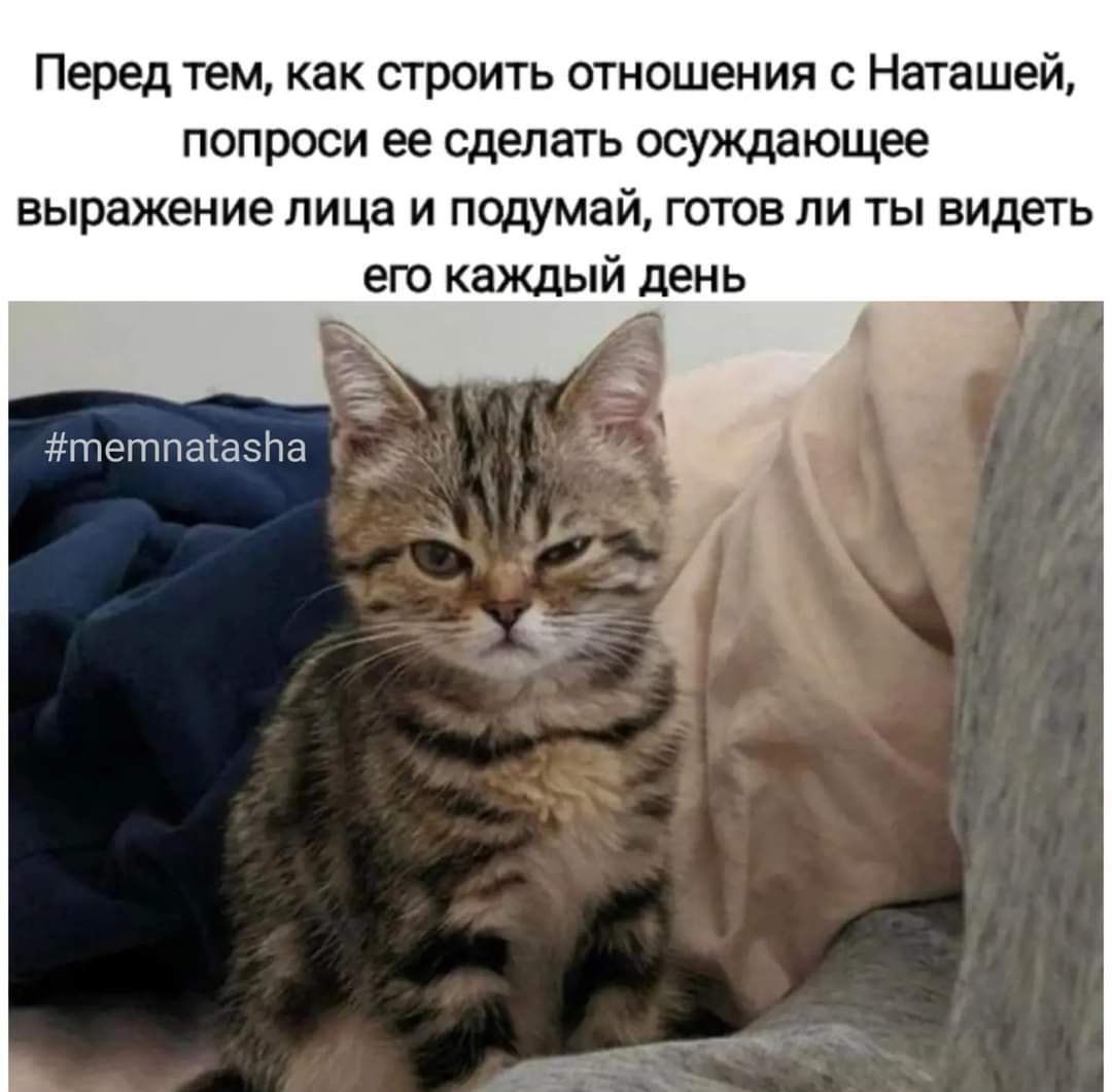 Перед тем как строить отношения с Наташей попроси ее сделать осуящающее выражение лица и подумай гота ли ты видеть ею каждый день тетпаіаЗНп