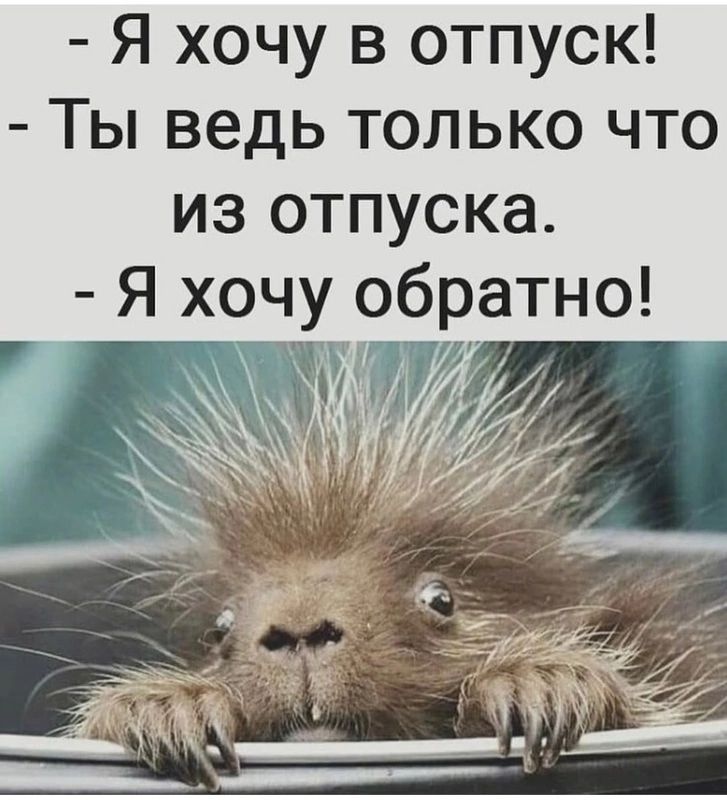Я хочу в отпуск Ты ведь только что из отпуска Я хочу обратно