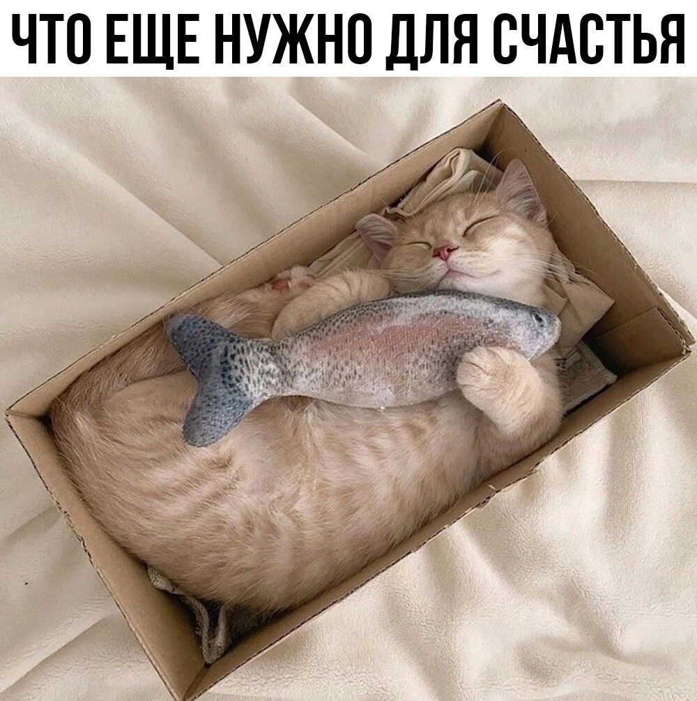 ЧТО ЕЩЕ НУЖНО ДЛЯ СЧАСТЬЯ