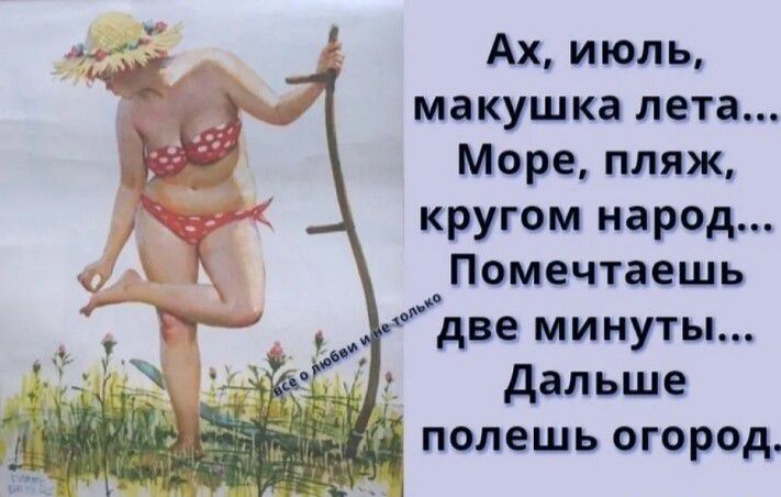 Ах июль макушка лета Море пляж кругом народ Помечтаешь две минуты дальше полешь огород