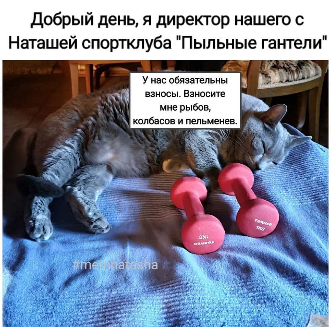 добрый день я директор нашею с Наташей спортклуба Пыльные гантели 1 х Унасобязвтельиы взносы Взиоств миерьібсв кппбпсвв и пельмени
