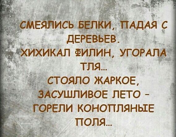 ДЁРЕВЬЕВ _ ИКАЛ ФИЛИН угонам тля 35 стояло ЖАРКОЁ пивов ли го конопляньгЕ поля