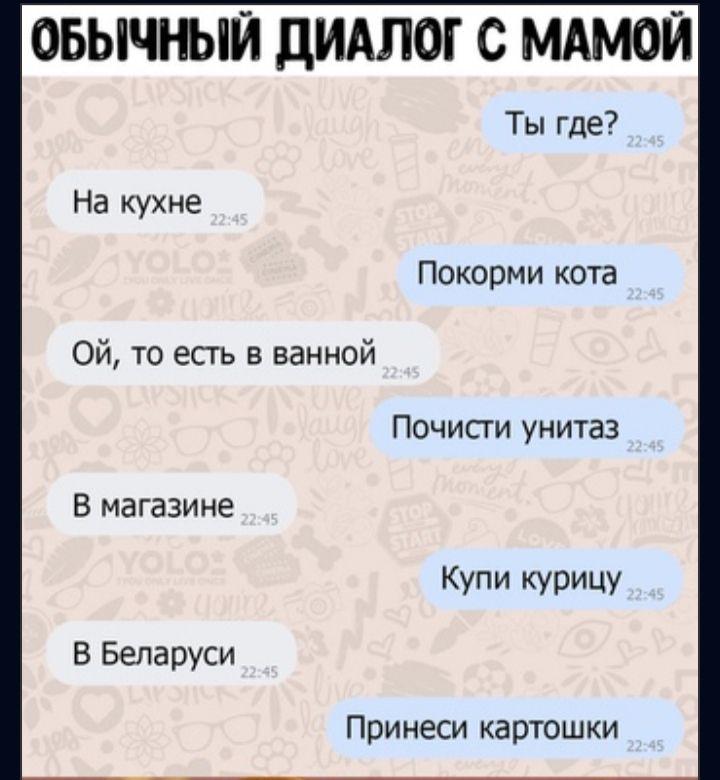 ОБЫЧЕЫЙ ДИАЛОГ С МАМОЙ Ты где На кухне Покорми кота Ой то есть в ванной Почисти унитаз В магазине Купи Курицу В Беларуси Принеси карюшки