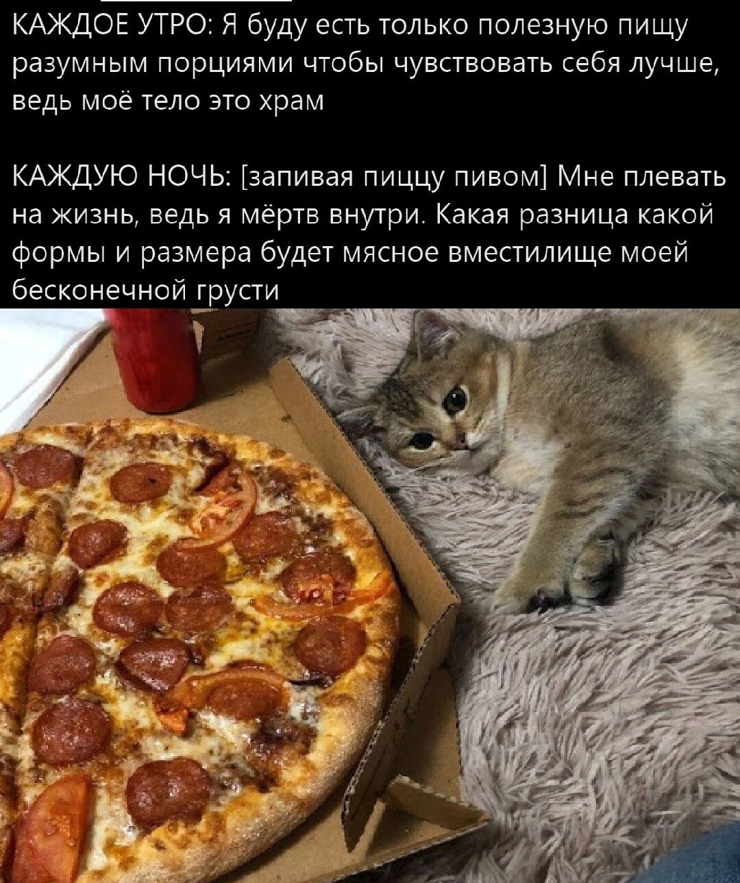 КАЖДОЕ УТРО Я буду есть только полезную пищу разумным порциями чтобы чувствовать себя лучше ведь мое тело это храм КАЖДУЮ НОЧЬ запивая пиццу пивом Мне плевать на жизнь ведь я мертв внутри Какая разница какои формы и размера будет мясное вместилище моей бесконечнсйдрупи