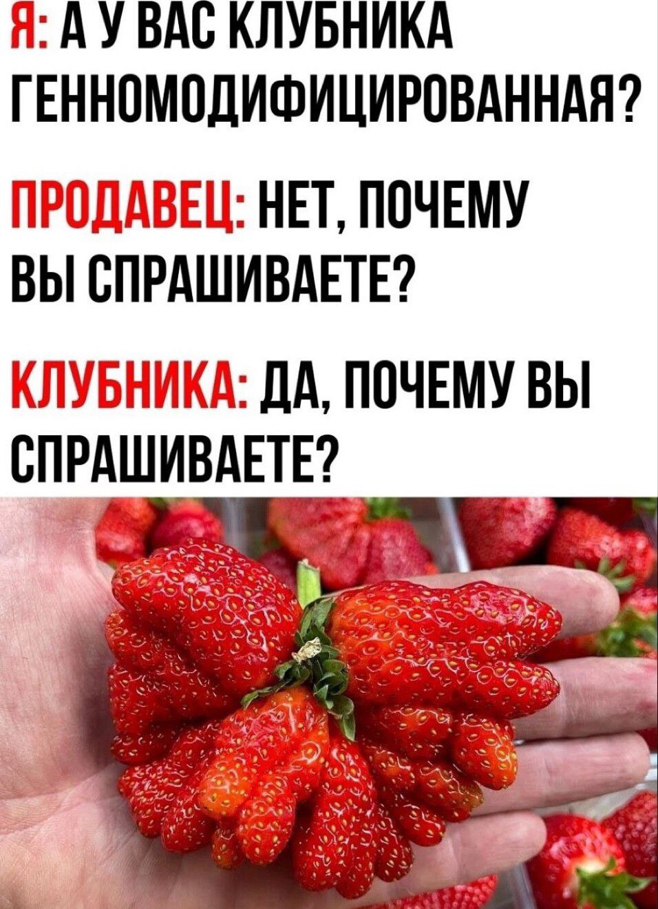 Ё А У ВАС КЛУБНИКА ГЕННПМОДИФИЦИРПВАННАЯ НЕТ ПОЧЕМУ ВЫ ВПРАШИВАЕТЕ ідА ПОЧЕМУ ВЫ ВПРАШИВАЕТЕ