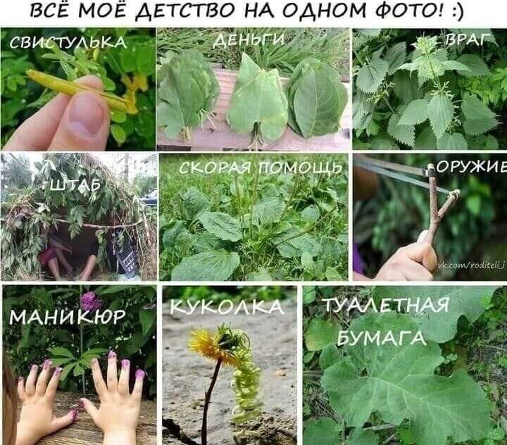 все мое АЕтсто НА одном ФОТО типухэш