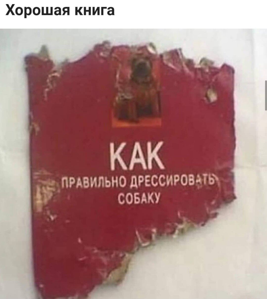 Хорошая книга КАК ПРАВИЛЬНО ЦРЕССУНОМПР СОБАКУ