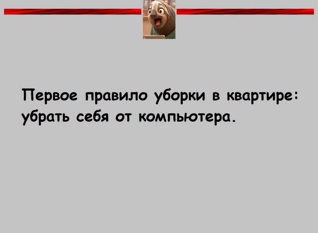 _ Первое правило уборки в квартире убрать себя от компьютера