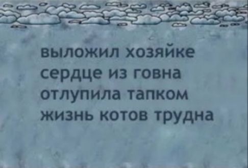 выложил хозяйке сердце из говна отлупила тапком жизнь котов трудна