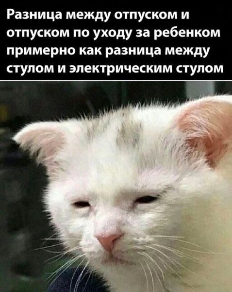Разница между ОТПУСКОМ И ОТПУСКОМ ПО УХОДУ за ребенком Примерно как разница между СТУЛОМ И электрическим СТУПОМ
