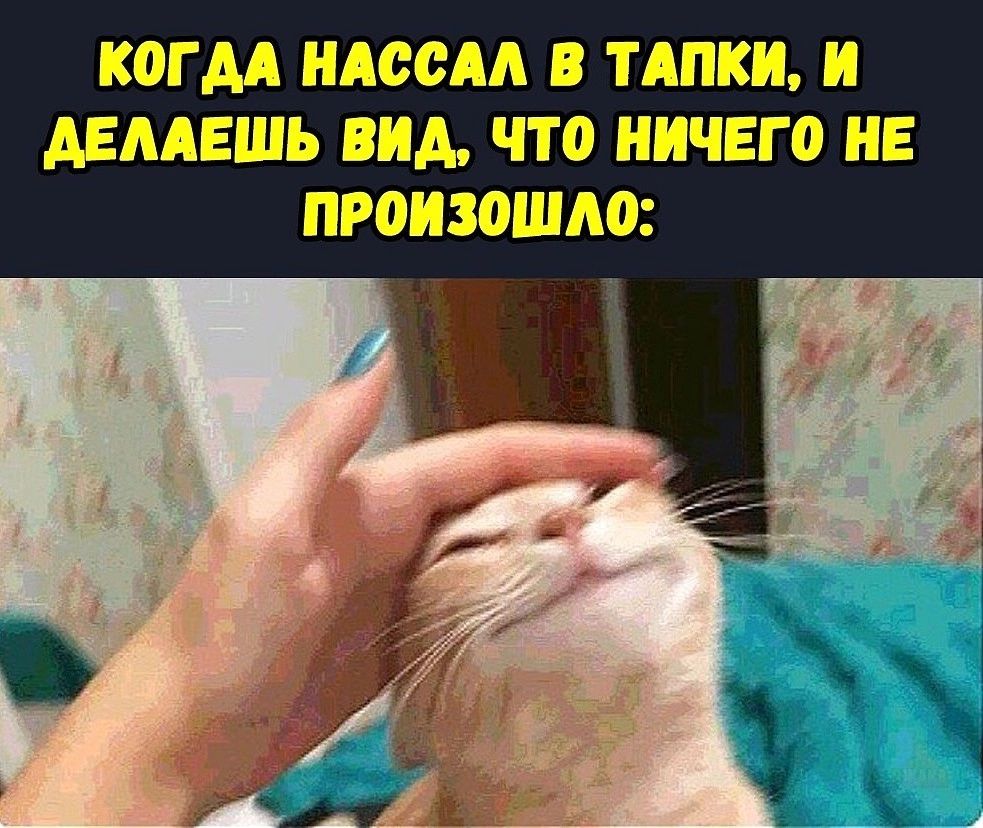 КОГДА НАООАА В Т АПК И АЕААЕШЬ ВИА ЧТО НИЧЕГО НЕ ПРОИЗОШЛО