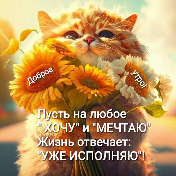 Пу ть на любое сг У ЙЁМЕЧТА ь отвГепТает зі сполняю