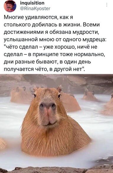 іпчпі5іііоп Кіпакуозсег МНОГИЕ удивляются как Я СТОПЬКОГО добилась В ЖИЗНИ ВСЕМИ дОСТИЖеНИЯМИ Я обязана МУДРОСТИ УСЛЫШЗННОЙ МНОЮ ОТ ОДНОГО мудреца ёто сделал уже хорошо ничё не сделал в принципе тоже нормально дни разные бывают в один день получается чёто в другой нет
