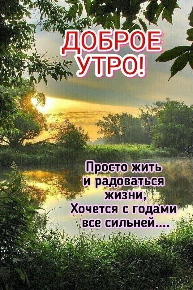 все силъней