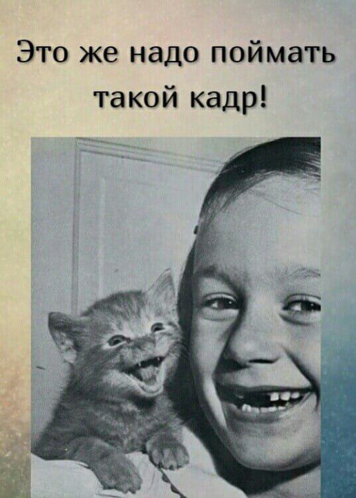 Это же надо поймать такой кадр