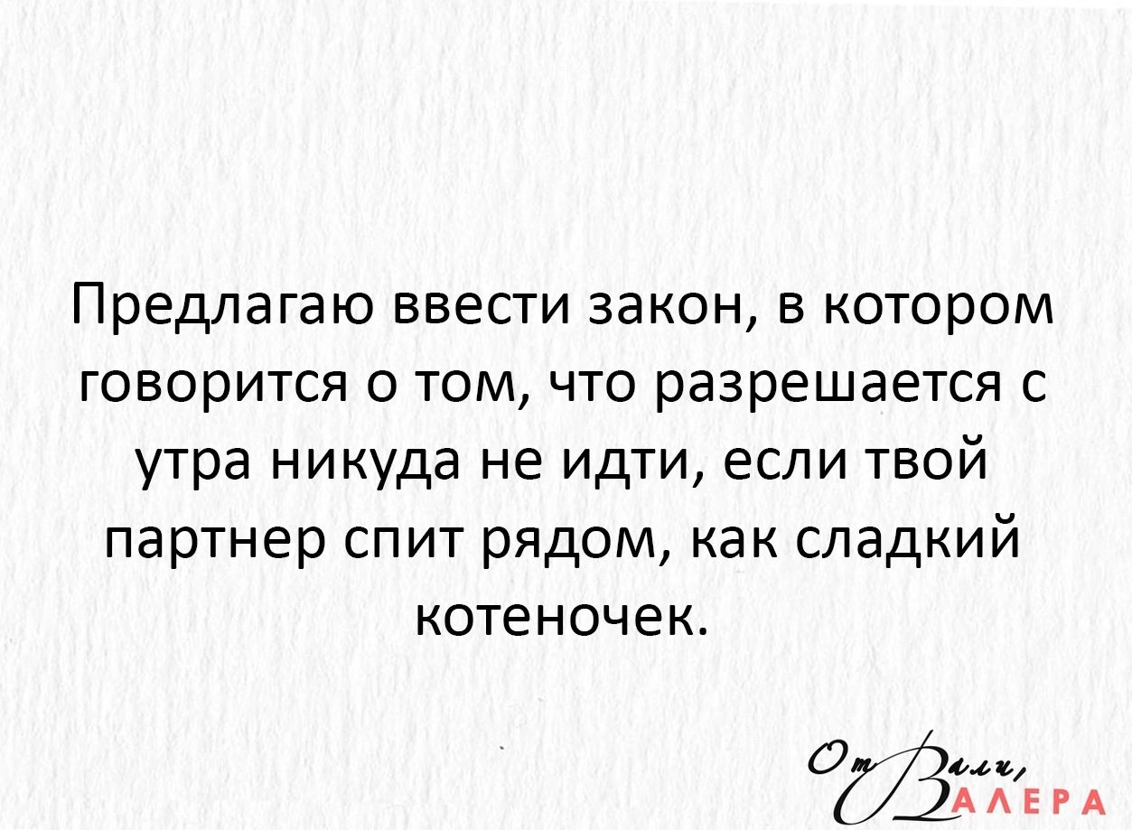 Предлагаю ввести закон в котором говорится о том что разрешается с утра никуда не идти если твой партнер спит рядом как сладкий котеночек 053 А