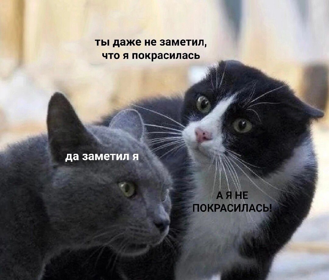 ты Адже не заметил что пакрасипась