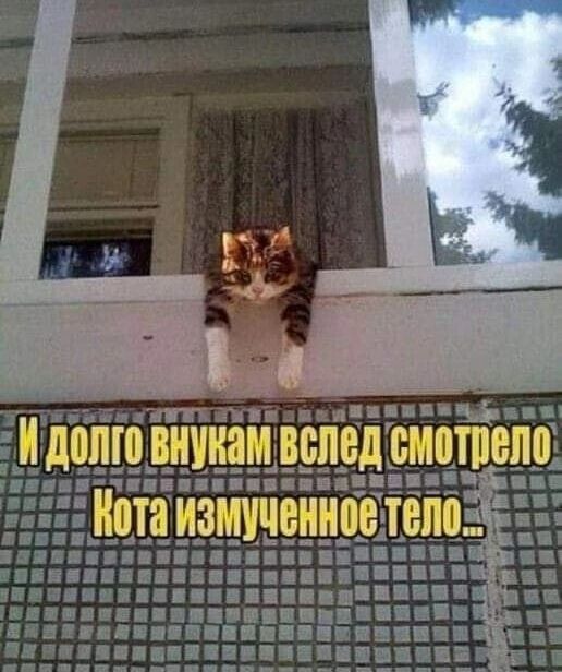 тип и пиши вспрд тотем А и дома ВШШМ