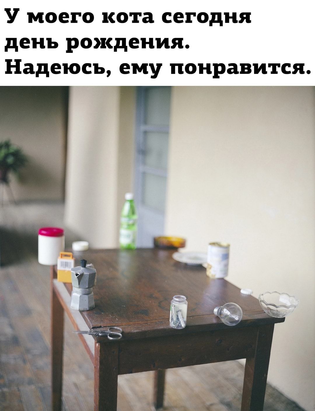 У моего кота сегодня день рождения Надеюсь ему понравится