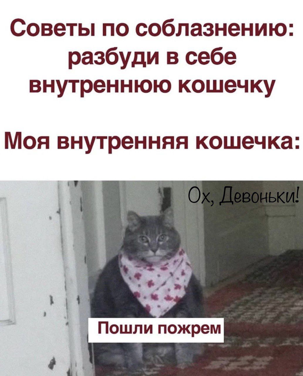 Советы по соблазнению разбуди в себе внутреннюю кошечку Моя внутренняя кошечка