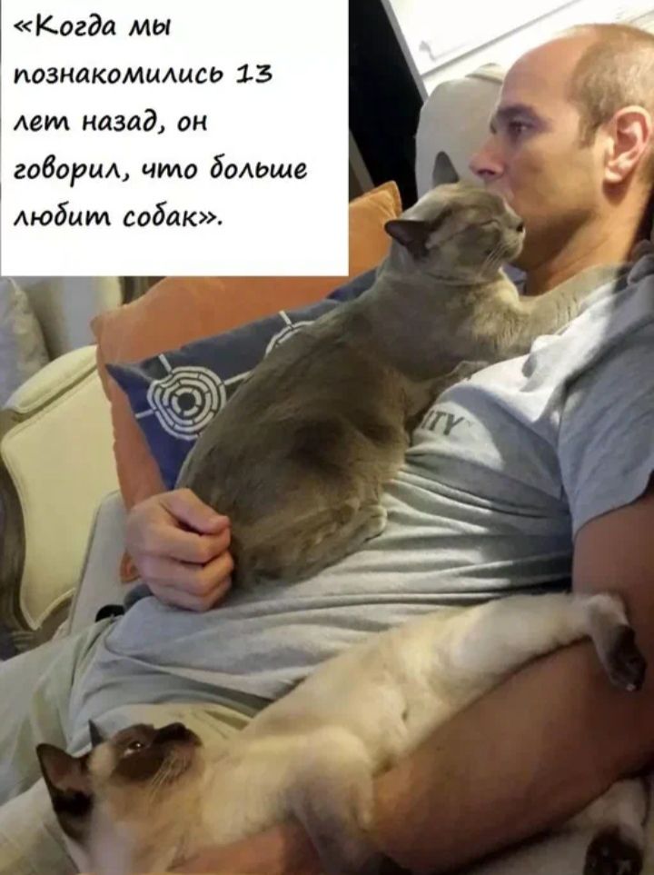 Когда мы незнакомыщи 13 Авт назад он говори что бомше Аюбмт собак