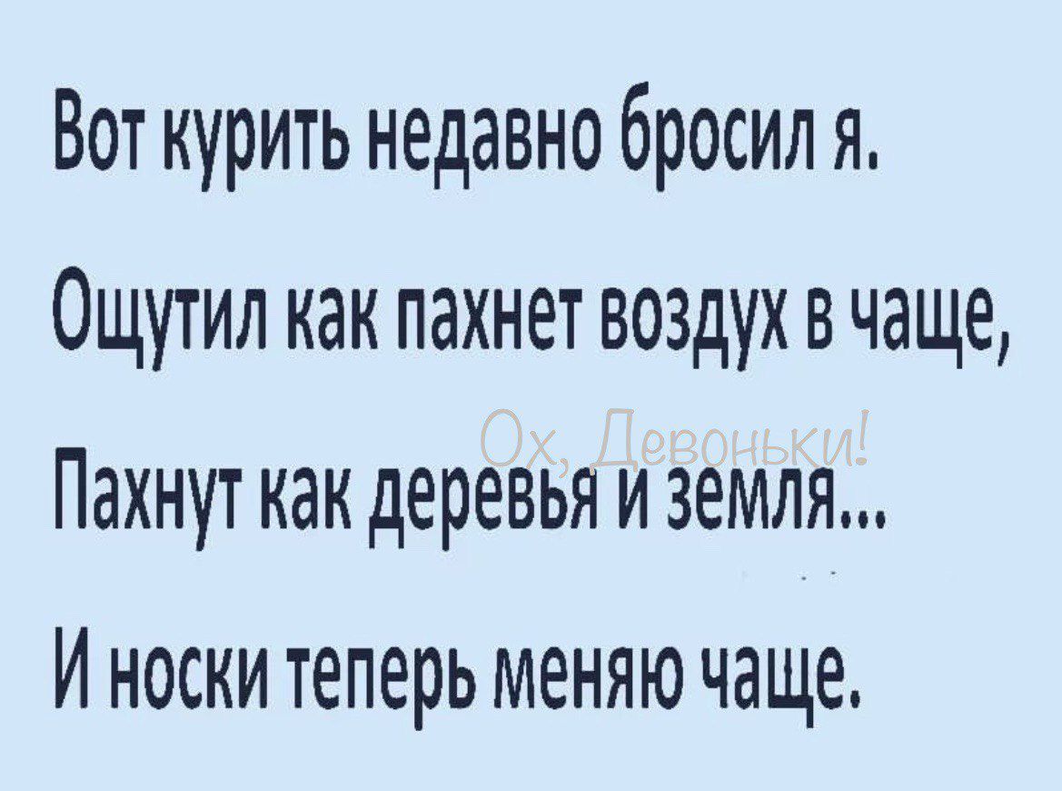 Вот курить недавно бросил я Ощутил как пахнет воздух в чаще Пахнут как деревья и земля И носки теперь меняю чаще