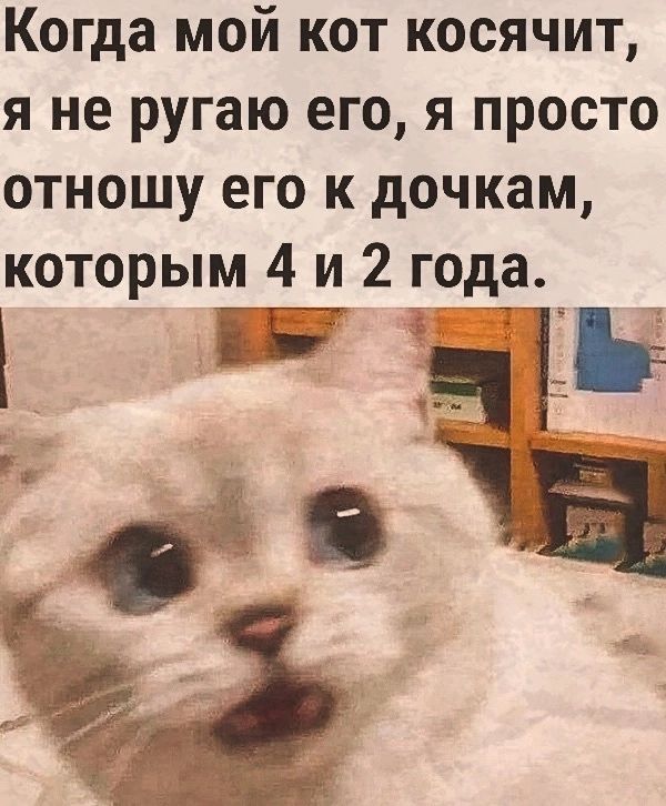 Когда мой кот косячит я не ругаю его я просто отношу его к дочкам которым 4 и 2 года 7 1111г