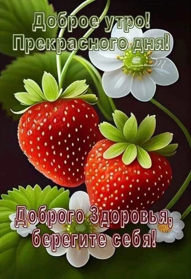 ЖЁЁН ад _ыРМАА 33 тштсэ т
