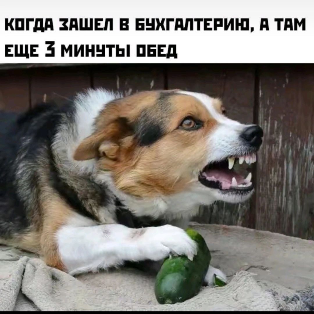 КПГдд ЗПШЕЛ В ЕНХГМТЕРИШ д ТПМ ЕЩЕ 3 МИННТЫ ПБЕд