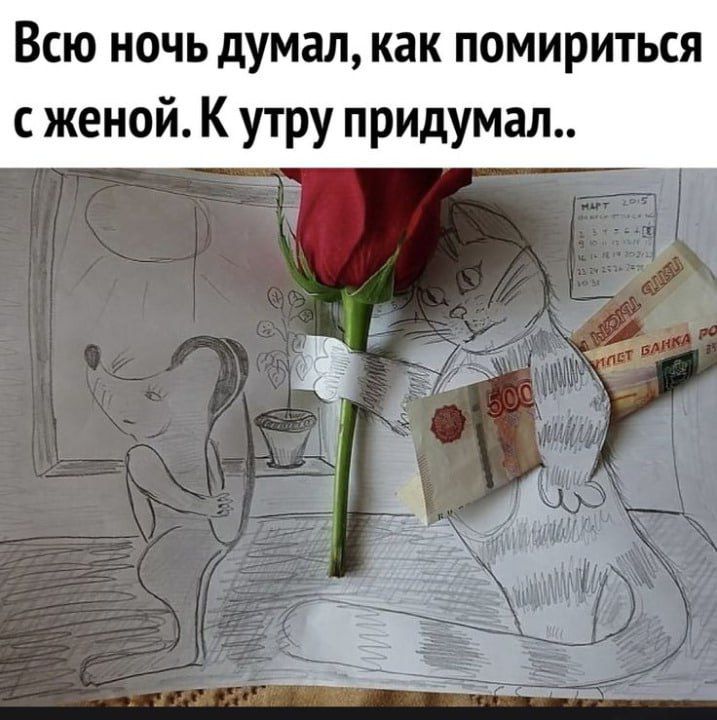 Всю ночь думал как помириться женой К утру придумал