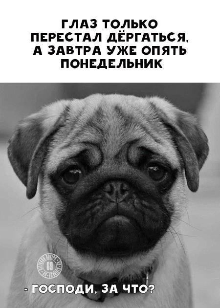 ГЛАЗ ТО__ПЬКО ПЕРЕСТАЛ дЕРГАТЬСЯ А ЗАВТРА УЖЕ ОПЯТЬ ПОНЕДЕЛЬНИК
