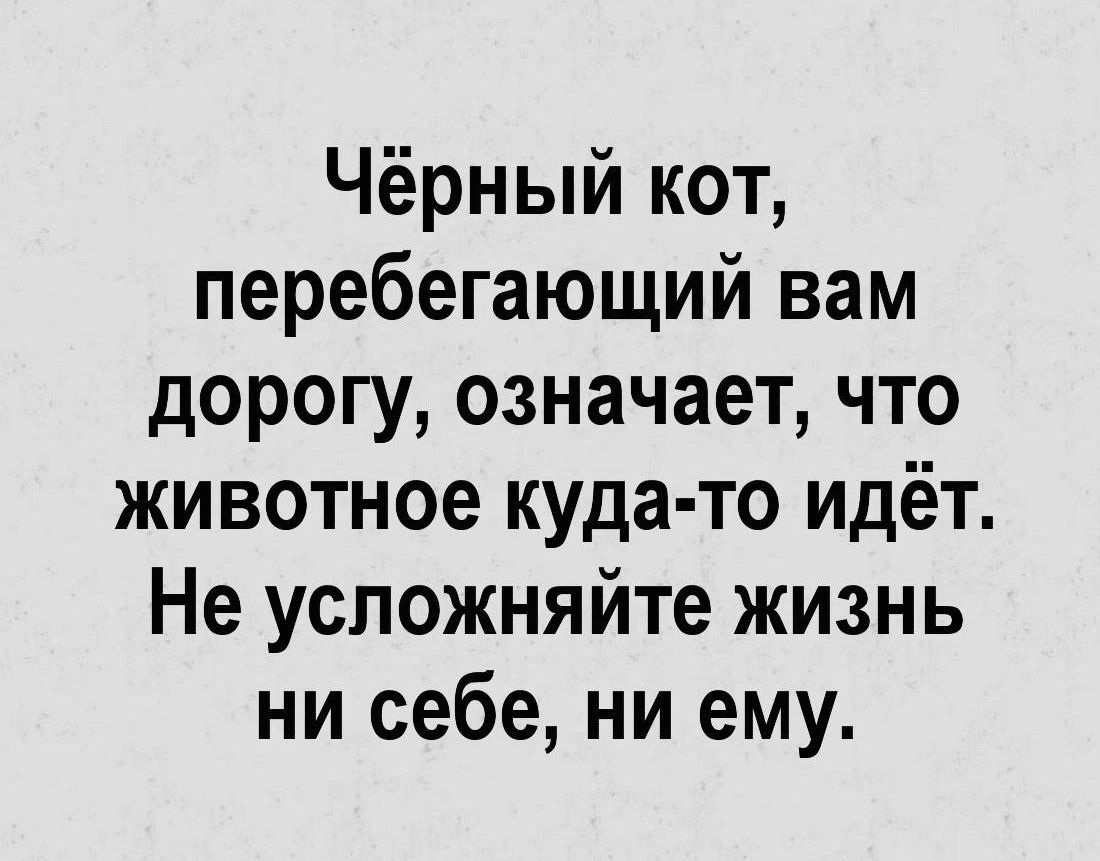 Чёрный кот перебегающий вам дорогу означает что животное куда то идёт Не усложняйте жизнь ни себе ни ему