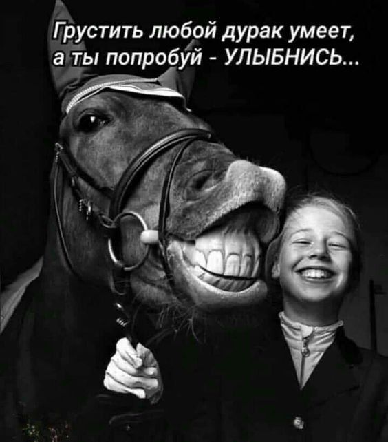 Г рустить любой дурак умеет а ты попробуй УЛЫБНИСЬ