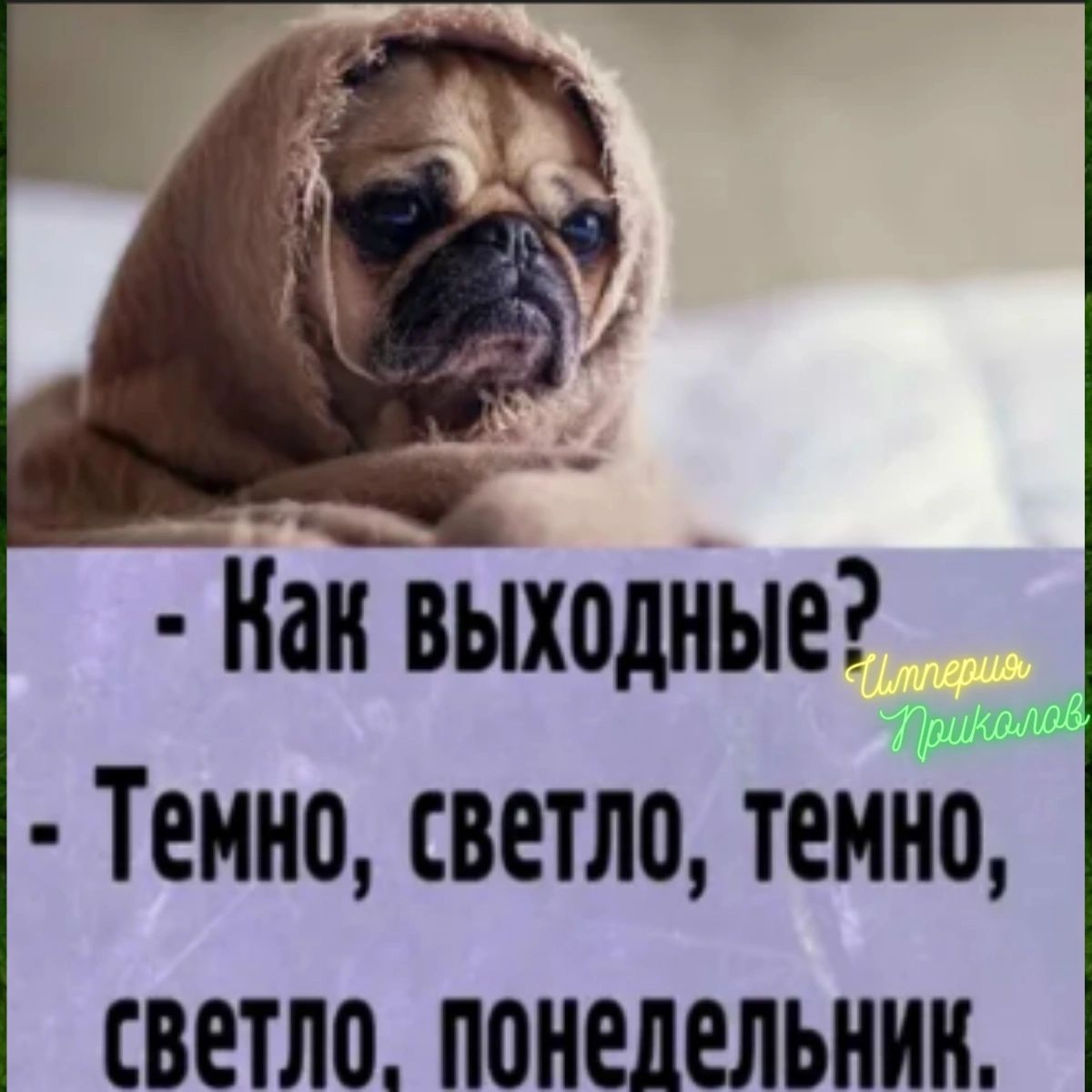 ііаіТвыходныеЗ Темно светло темно светло понедельник
