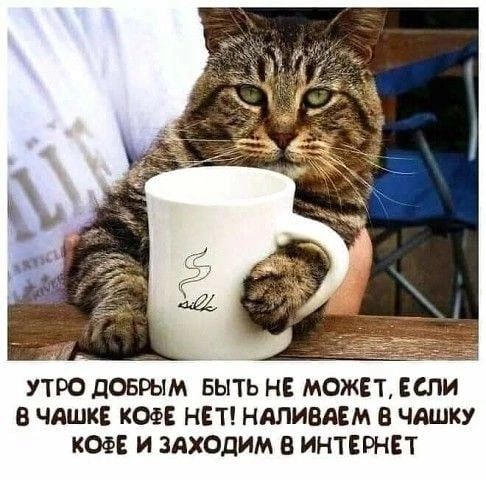 УТРО дОБРЫМ БЫТЬ НЕ МОЖЕТ ЕСЛИ В чашкЕ КОФЕ НЕТ НАЛИВАЕМ В ЧАШКУ КОФЕ И заходим В ИНТЕРНЕТ