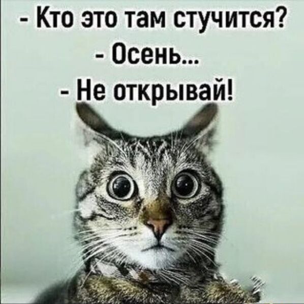 Кто это там стучится Осень Не открывай