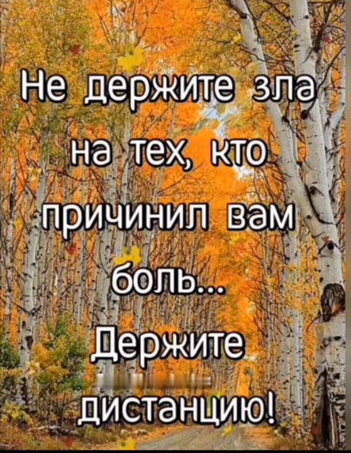 Не дерЖщЁёЧЭ наёіттехс и