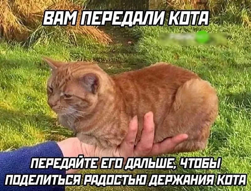 влмійгпвддли кит Ю ПЕРЕДдЙТЕЁПДдЛЬШЕ ЧТПЁЬТ ППДЁЛИТЬЕЯ РдДПДТЬШ ДЕРЖЛНИП ПТ