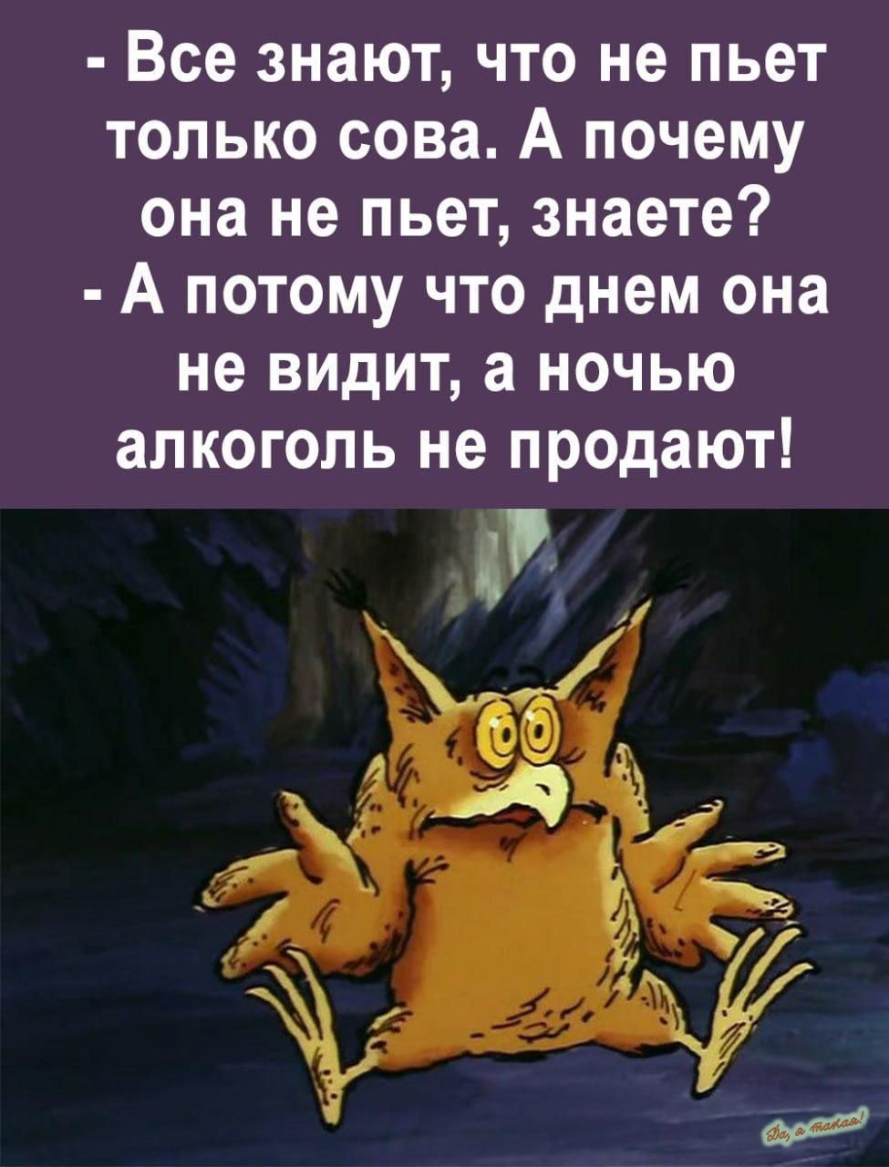 Все знают что не пьет только сова А почему она не пьет знаете А потому что днем она не видит а ночью алкоголь не продают
