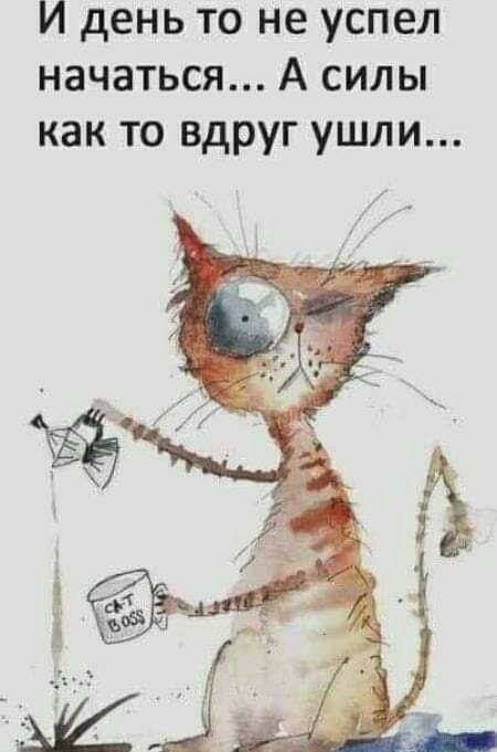 И день то не успел начаться А силы как то вдруг ушли