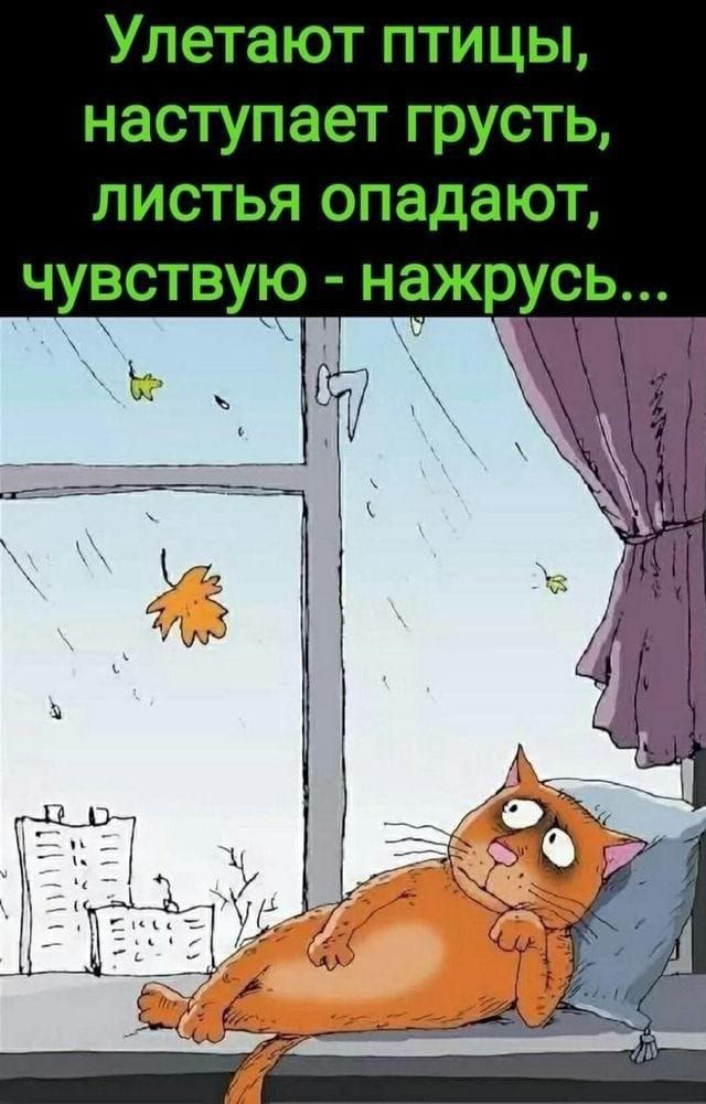 Улетают птицы наступает грусть листья спадают чувствую нажрусь 1