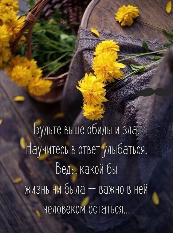 аучитесь в ответулыбаться Бель каком бы 5 жизнь ни была важно в ней 5 Хёнеловекомостатьсж