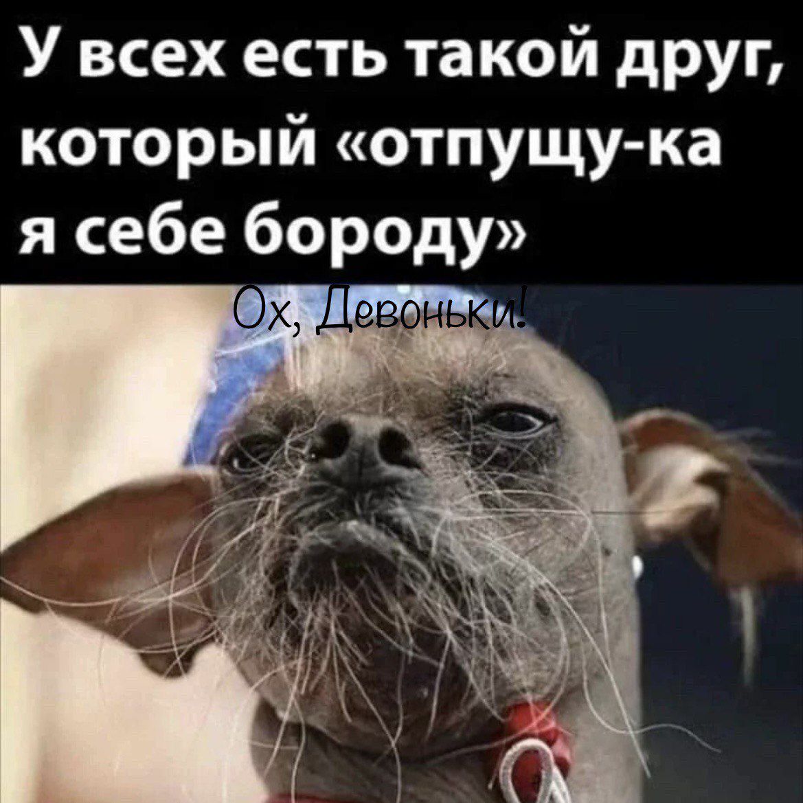 У всех есть такой друг который отпущу ка я себе бороду