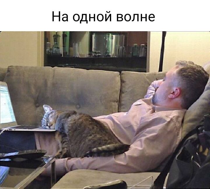 На одной волне