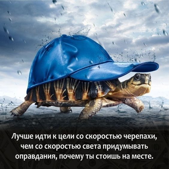 Лучше идти к цели со скоростью черепахи чем со скоростью света придумывать оправдания почему ты стоишь на месте