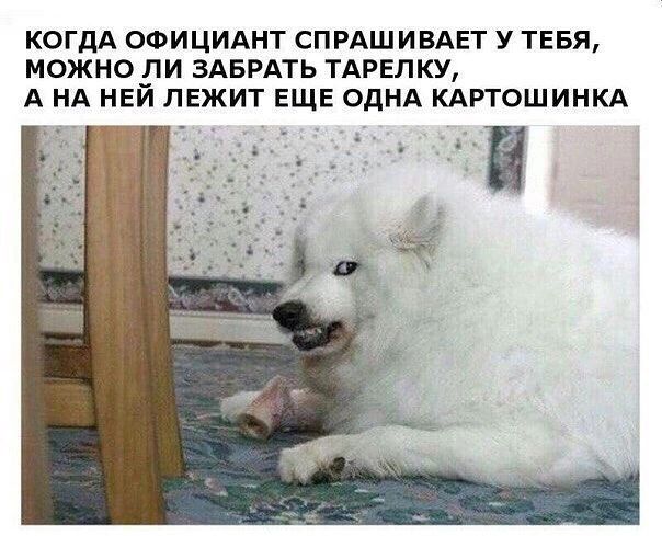 КОГДА ОФИЦИАНТ СПРАШИВАЕТ У ТЕБЯ можно ли ЗАБРАТЬ ТАРЕПКУ А НА НЕЙ ЛЕЖИТ ЕЩЕ ОДНА КАРТОШИНКА А і