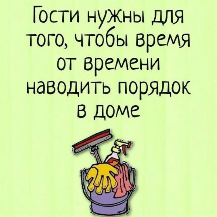 Гости НУЖНЫ для того чтобы время от времени наводить порядок в доме