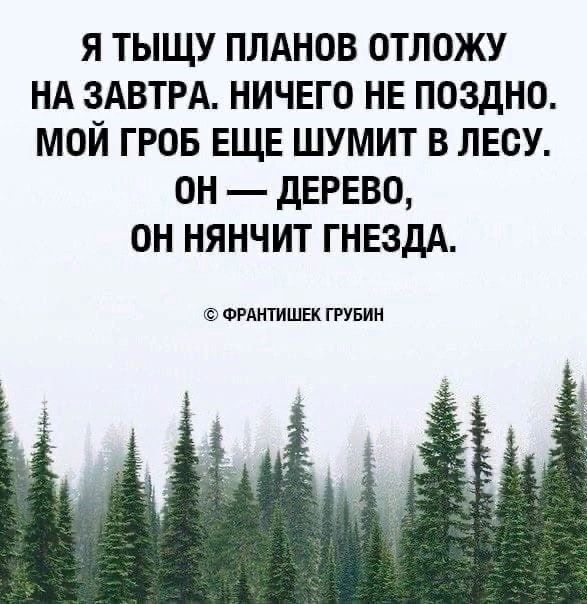 Я ТЫЩУ ПЛАНОВ ОТЛОЖУ НА ЗАВТРА НИЧЕГО НЕ ПОЗДНО МОЙ ГРОБ ЕЩЕ ШУМИТ В ЛЕСУ ОН дЕРЕВО ОН НЯНЧИТ ГНЕЗдА штанишек твин